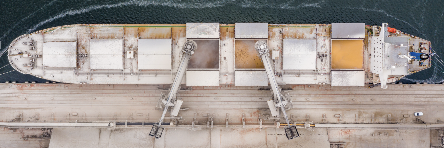 Grain vessel loading